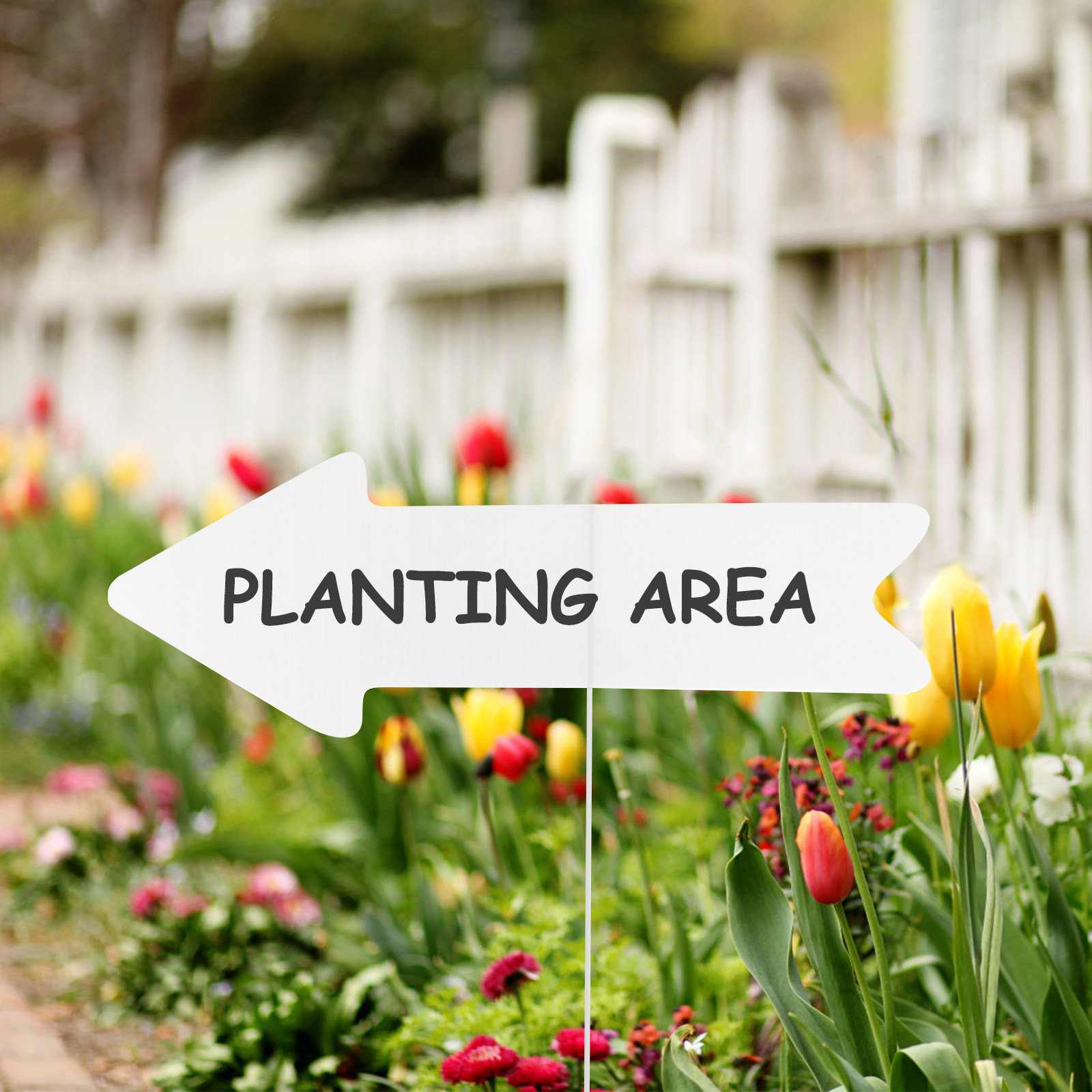 5 Pezzi di Targhe in Plastica  - Yard Sign Blank recensione e prezzo